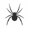 spider v2
