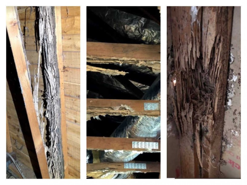 termite-damage-house-frame